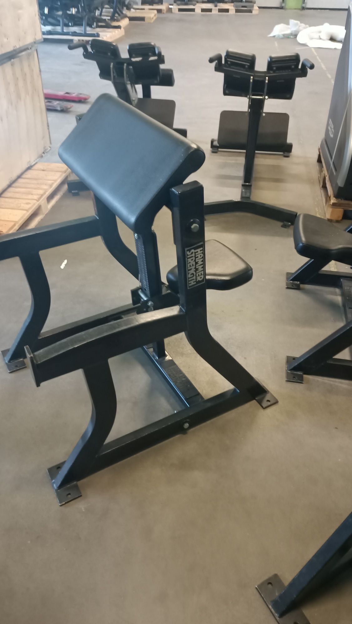 Modlitewnik hammer strength arm curl ławka Scott-a biceps hamer