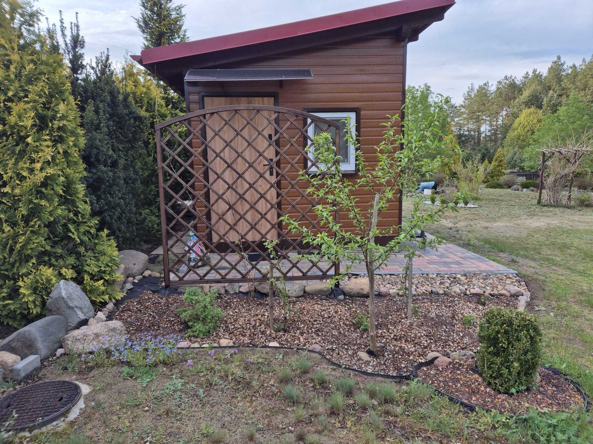 Domek w Borach Tucholskich