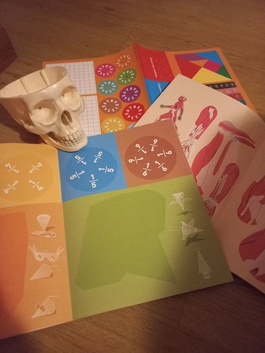 Conjunto material didático