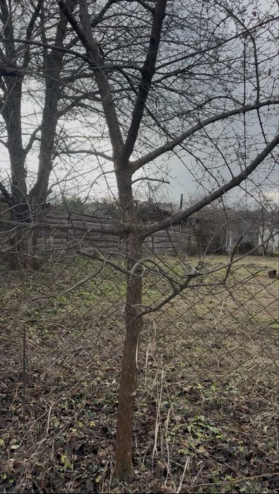 ‼️Дачна ділянка•дача• ділянка Струмівка‼️