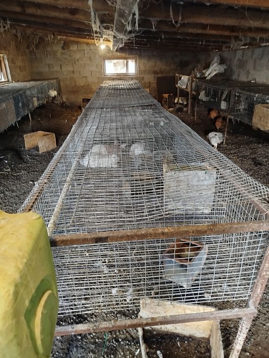 Клітки для кроликів