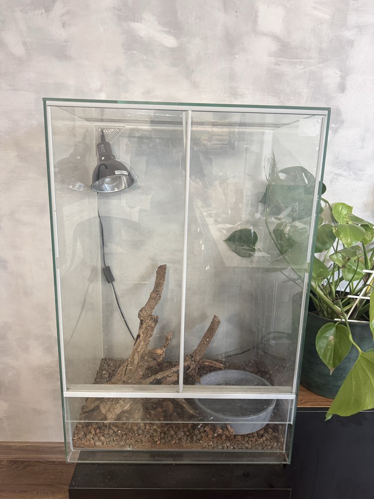Terrarium szklane