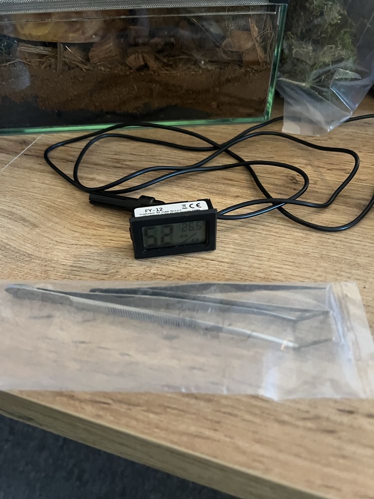 Terrarium 30х30х40 + komplet wszystkiego, do opieki nad jaszczurką