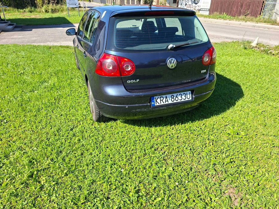 Volkswagen Golf V 2007  1.9 TDI 90KM