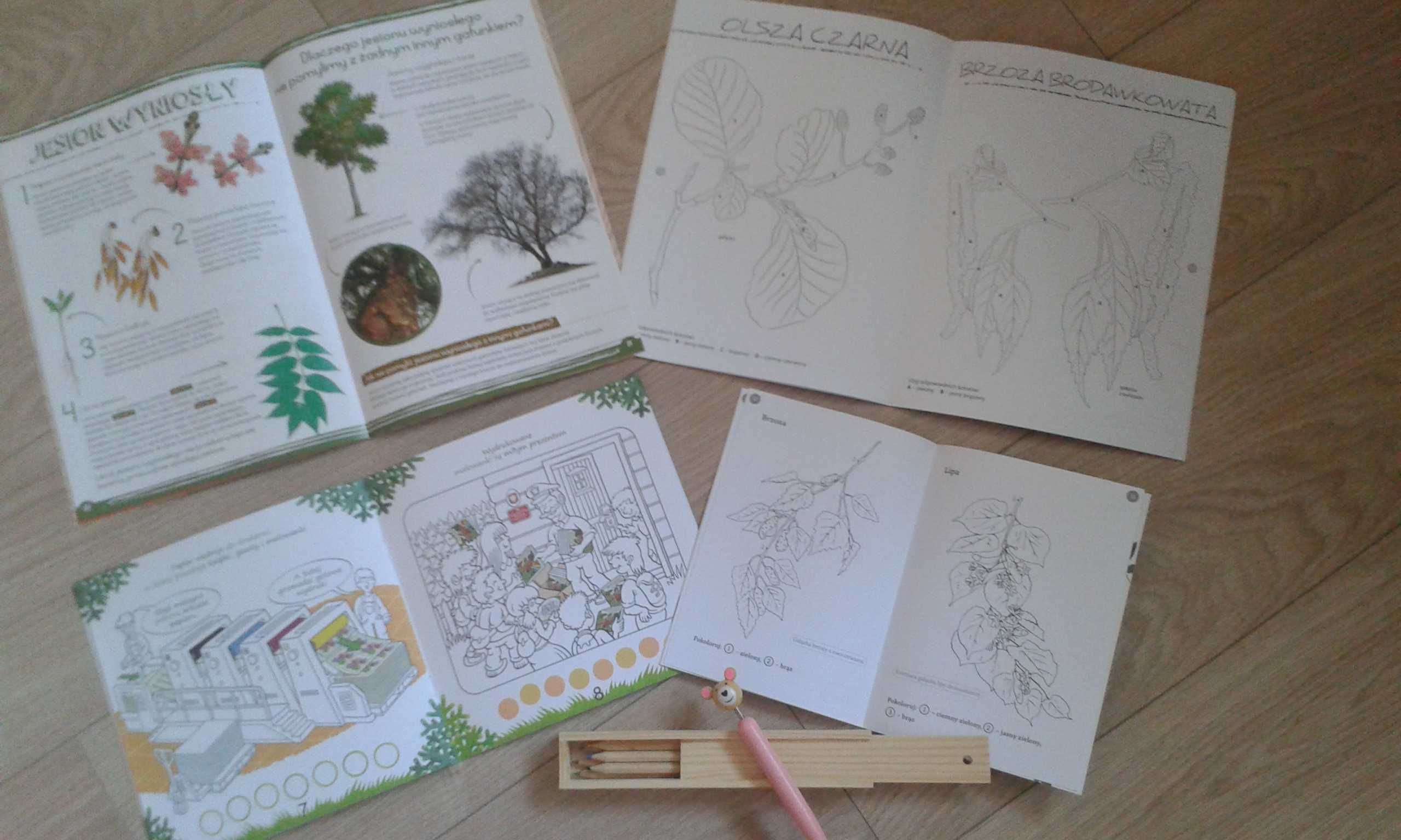 Kolorowanki Leśne + Gratis edukacyjny zestaw poznaj las