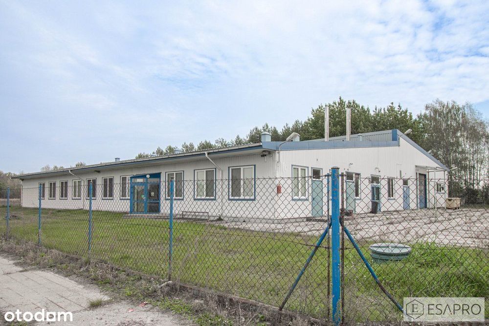 Hala magazynowo-produkcyjna z dużą działką