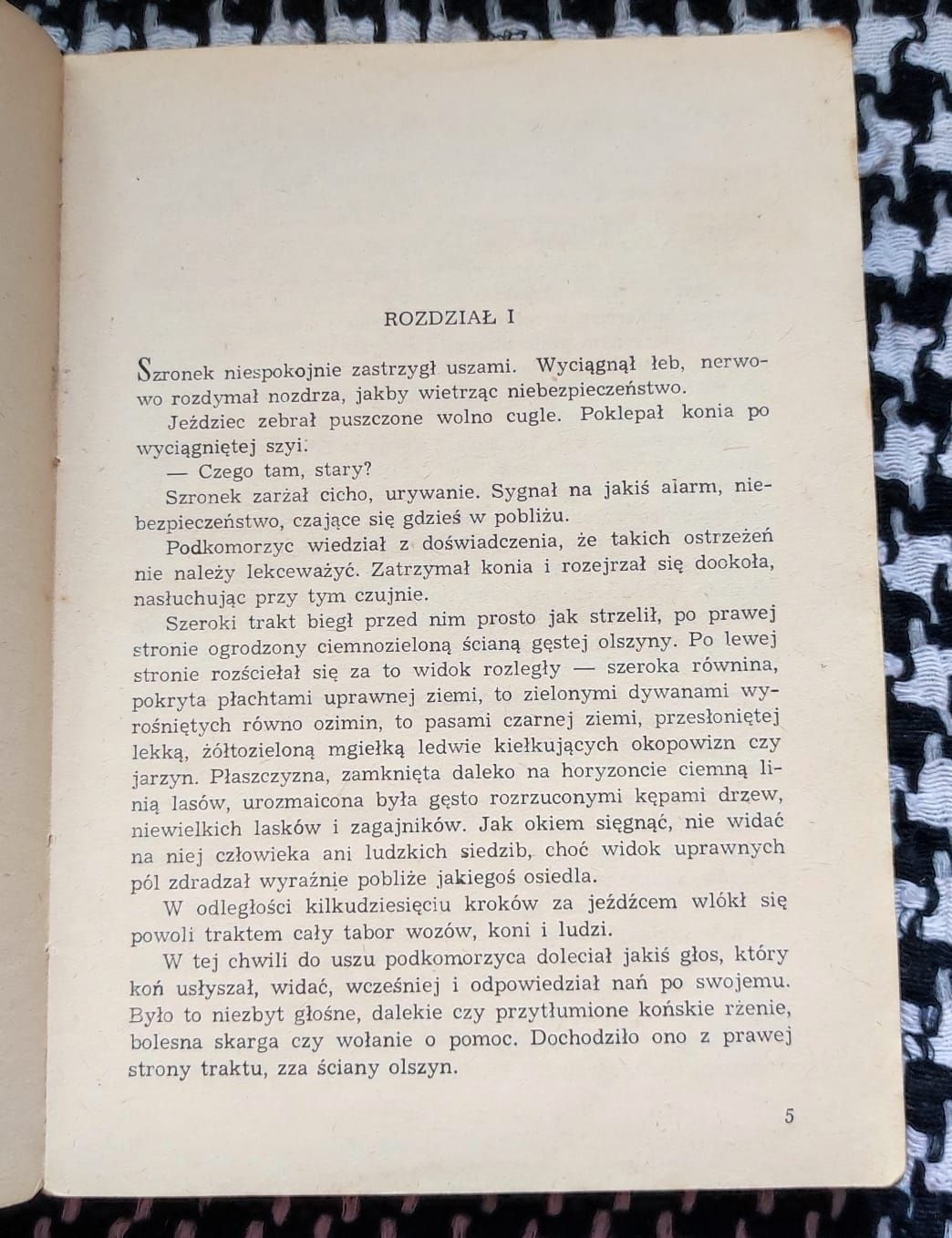 Tadeusz Kraszewski - Pan Filip z Konopii