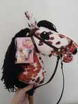Hobby horse format A4