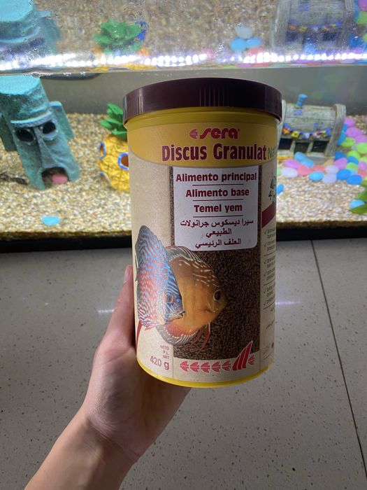 Aquario 60cm/equipamento/comida/decoracao/peixe