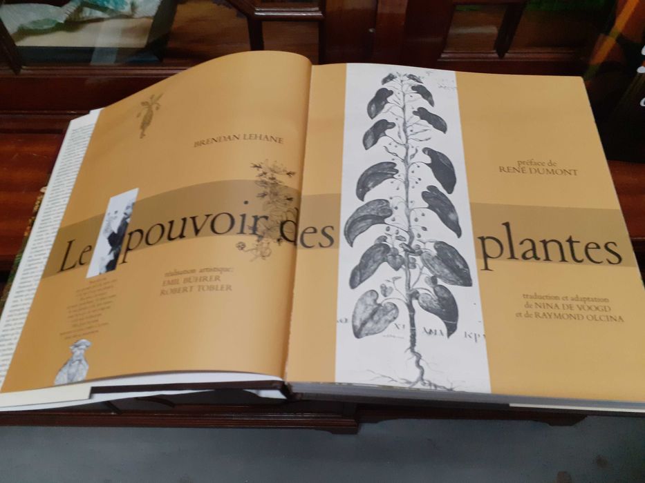 Le pouvoir des plantes