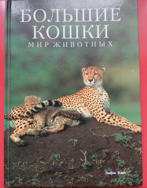 Большие кошки, Клив Эндрю, изд-во Белфакс