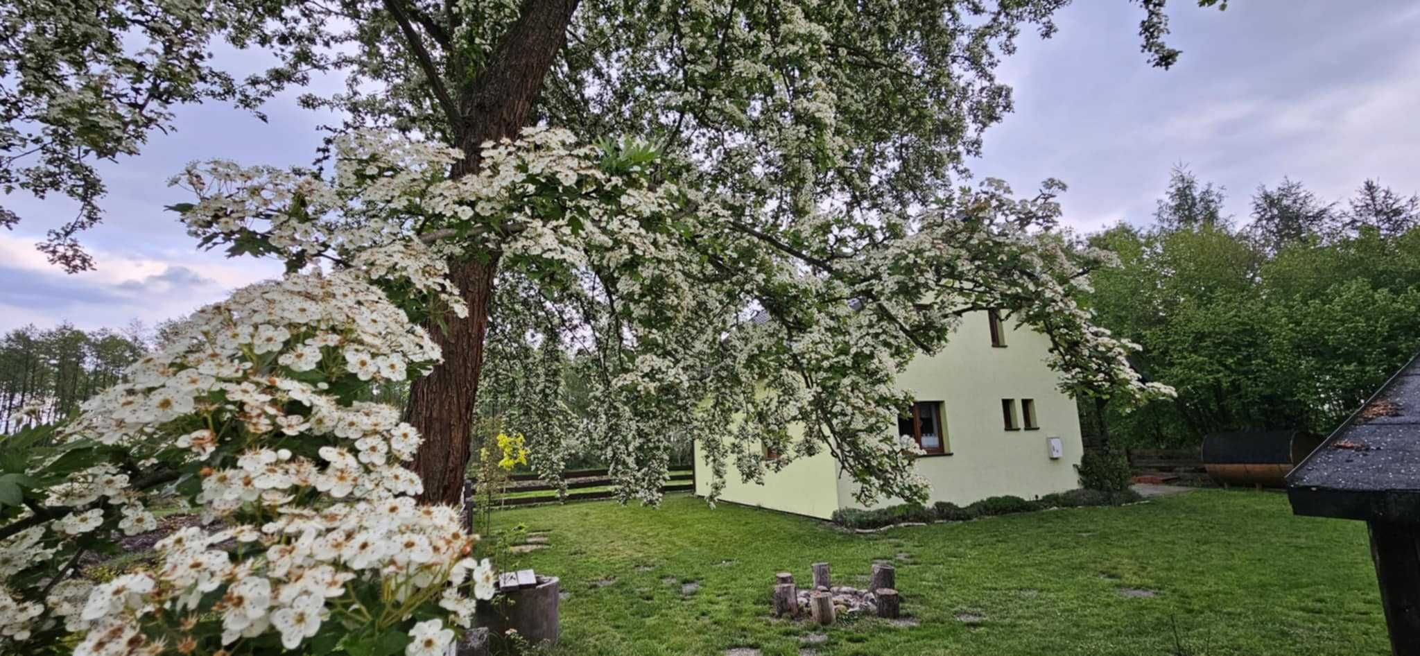 Dom w lesie  na wynajem , wakacje , sauna. Leśniczówka, Jura Krak-Cz