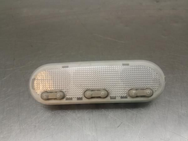 Plafonier frente NISSAN Juke (F15)