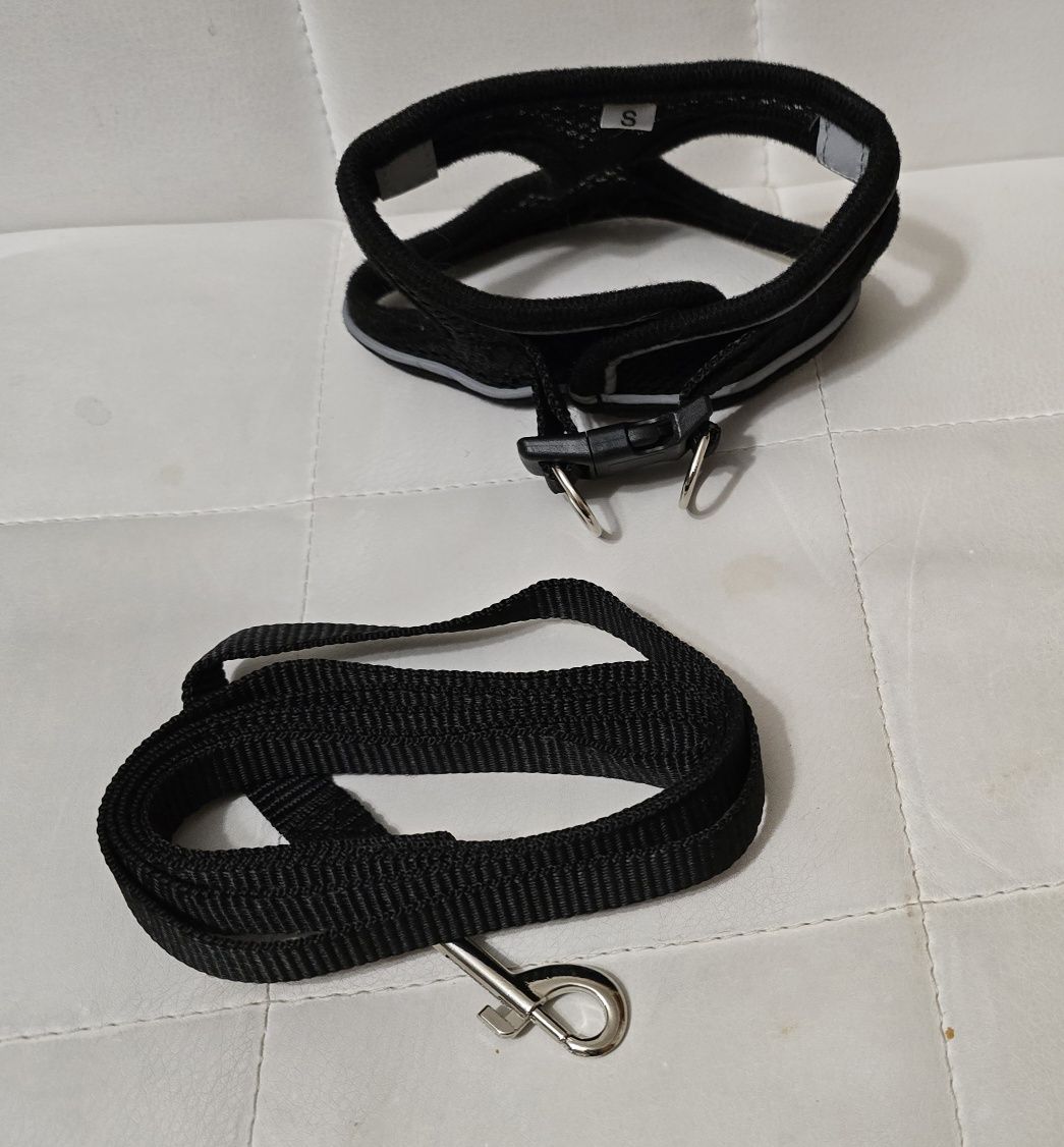 Trela e coleira peitoral para cão mini ou gato pequeno