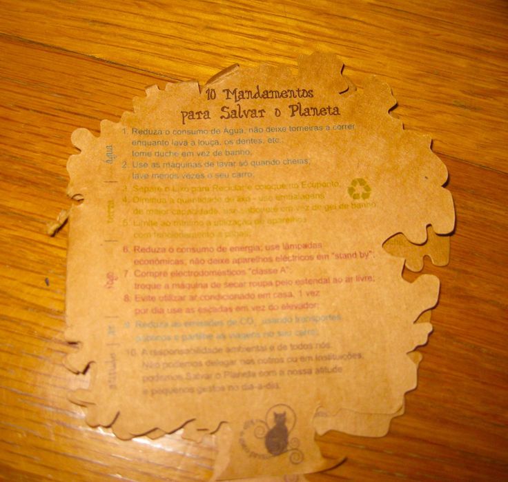 Conjunto de 2 Chávenas Gato Preto: Save the Planet em Caixa original