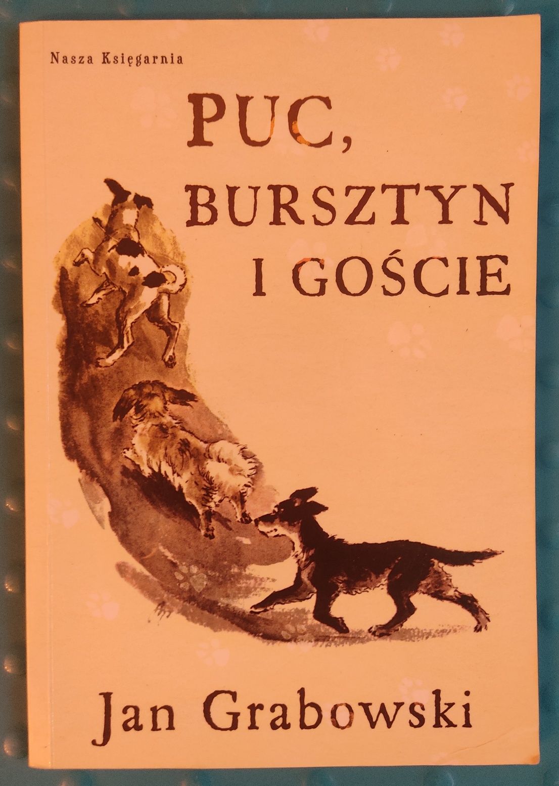 Książka pt. Puc, Bursztyn i goście & Jan Grabowski