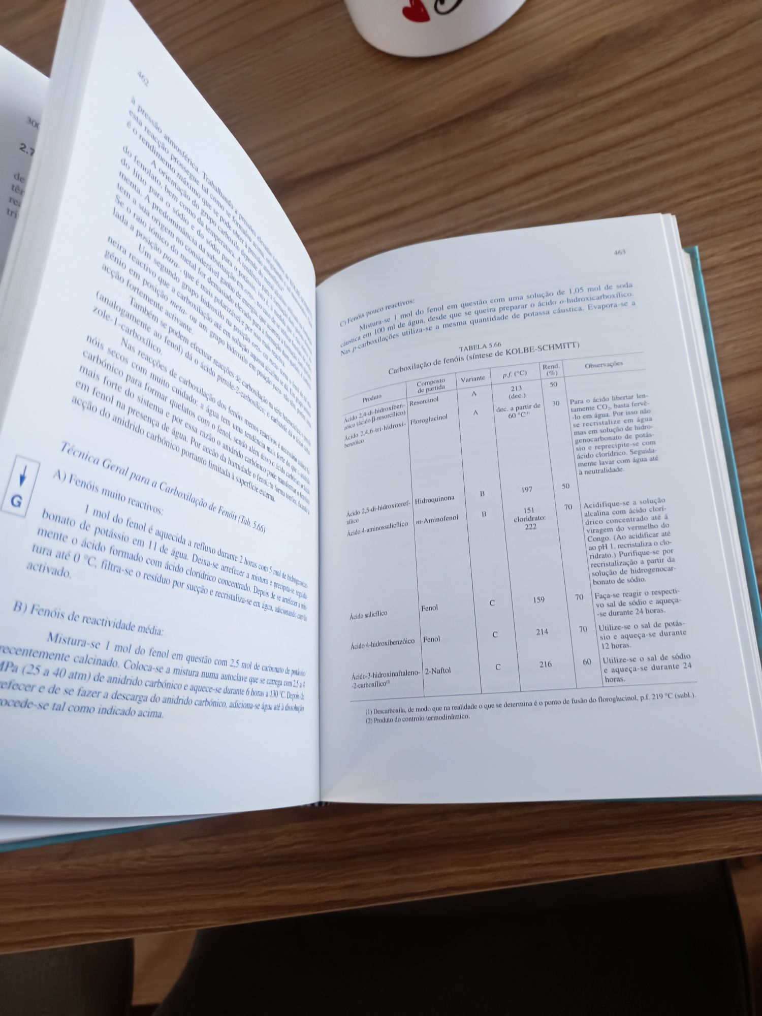 Livro Organikum Química experimental