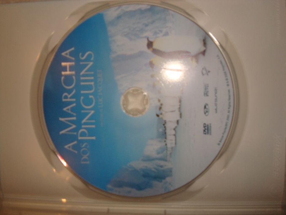 DVD "A Marcha dos Pinguins"