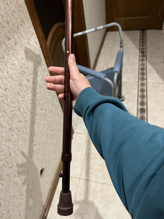 Продам трость цена 1000 ТОРГ