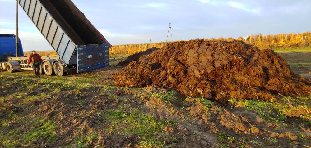 Podłoże pieczarkowe popieczarkowe 50m3, W cenie sprawozdanie z badan