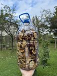 Сушені яблука перший сорт