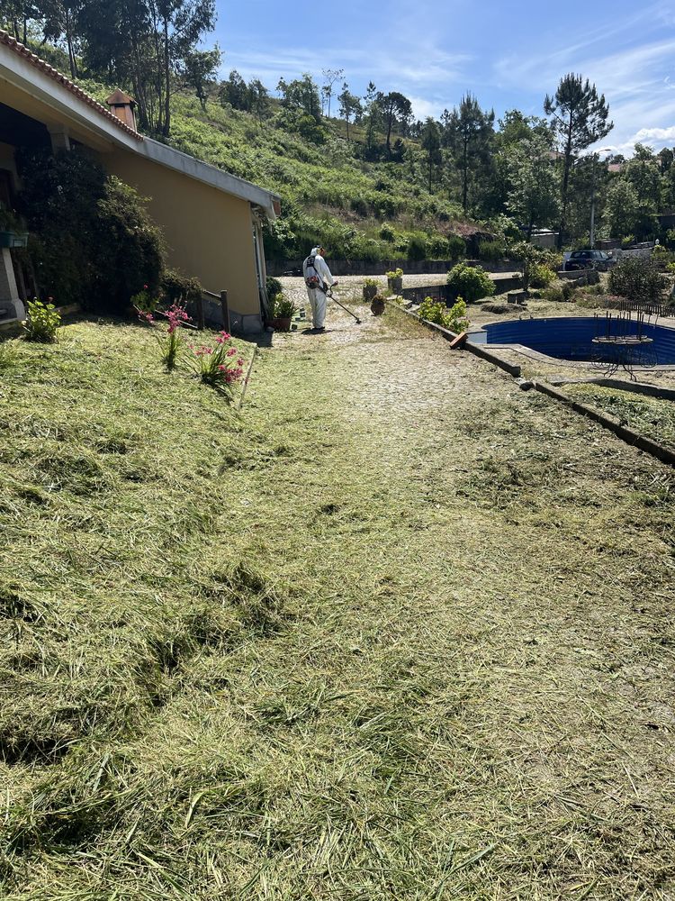 Limpeza de terrenos
