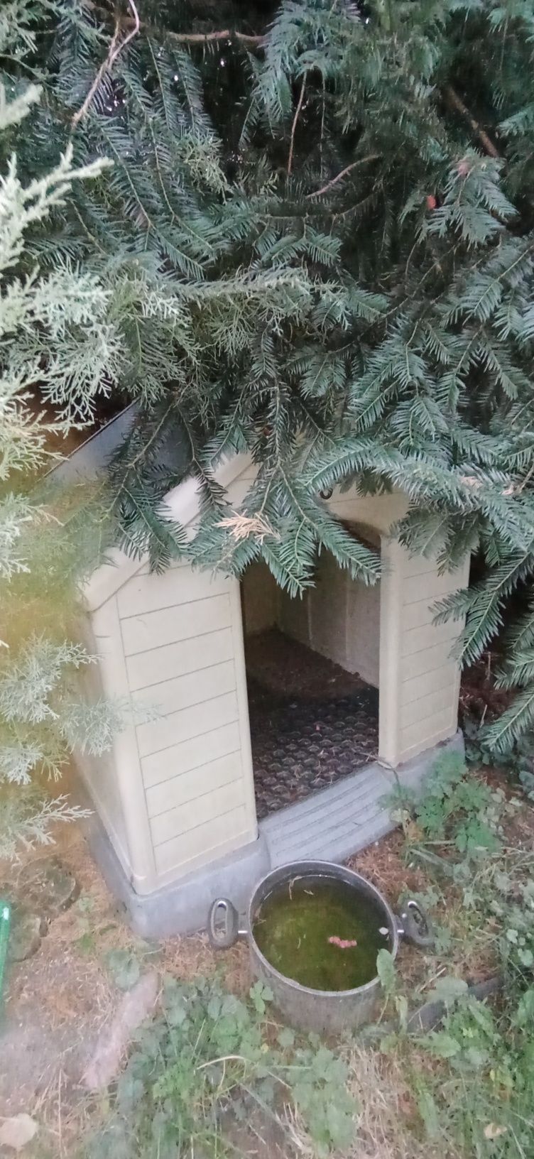 Buda dla psa plastikowa kojec duża