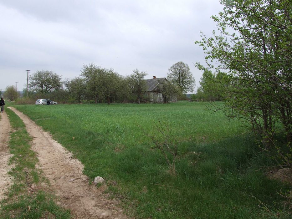 Gospodarstwo rolne 2,5ha Hruszew gm. Platerów pow. Łosice