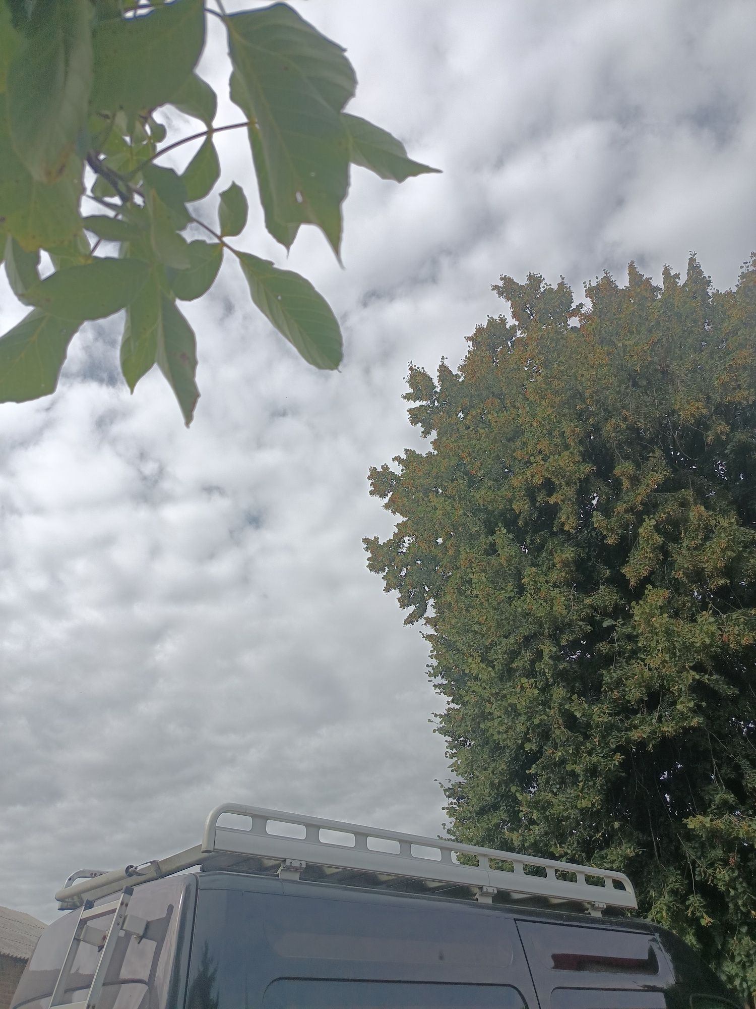 Bagażnik dachowy do Renault Master