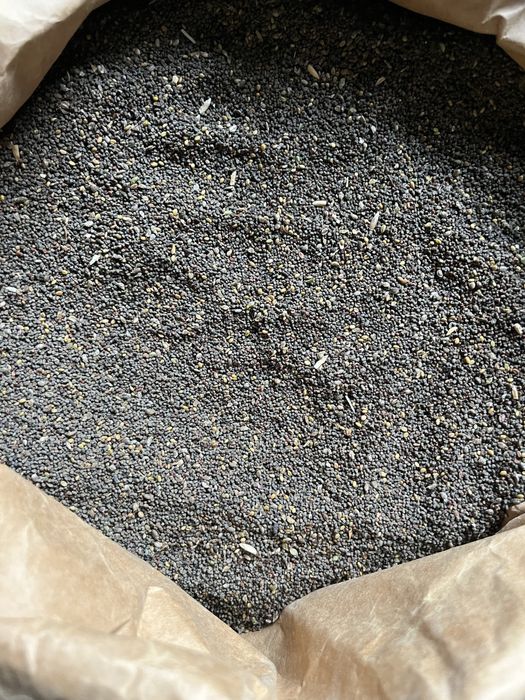 Sprzedam facelie i nostrzk