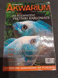 Archiwalny numer czasopisma "Akwarium" 6/2003