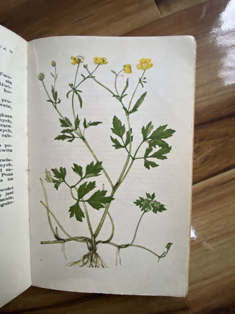 Barbara Rutkowska. Atlas Roślin Łąkowych I Pastwiskowych