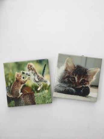 Obrazki z kotkami na ceramicznej płytce ozdoba