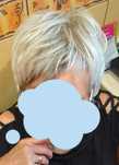 Peruka Gisela Meyer platynowy blond