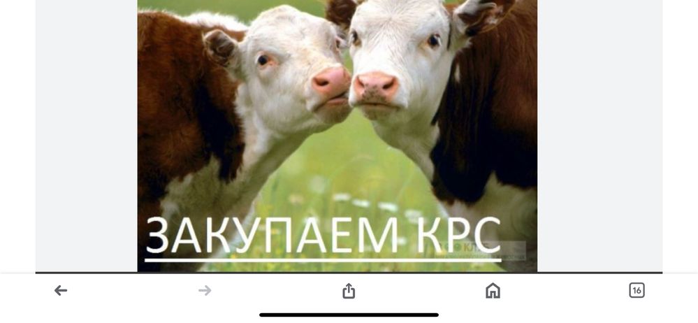 КРС дорого звоните.