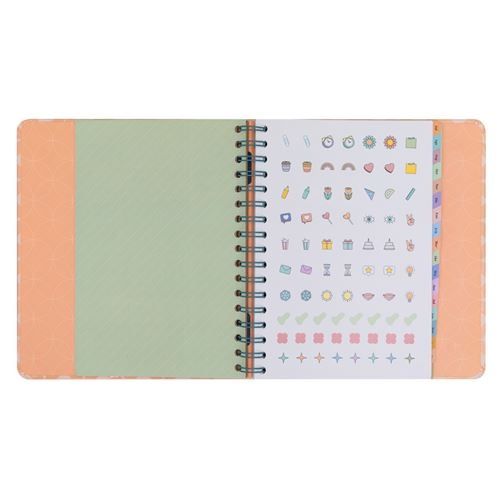 Agenda mr wonderful