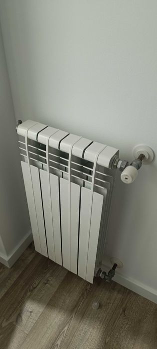 Radiadores Roca aquecimento central