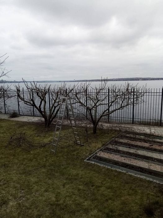 Обрезка декоративних ростений, фруктовых деревьев и кустарников