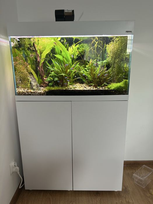 Akwarium z szafką optiset 125