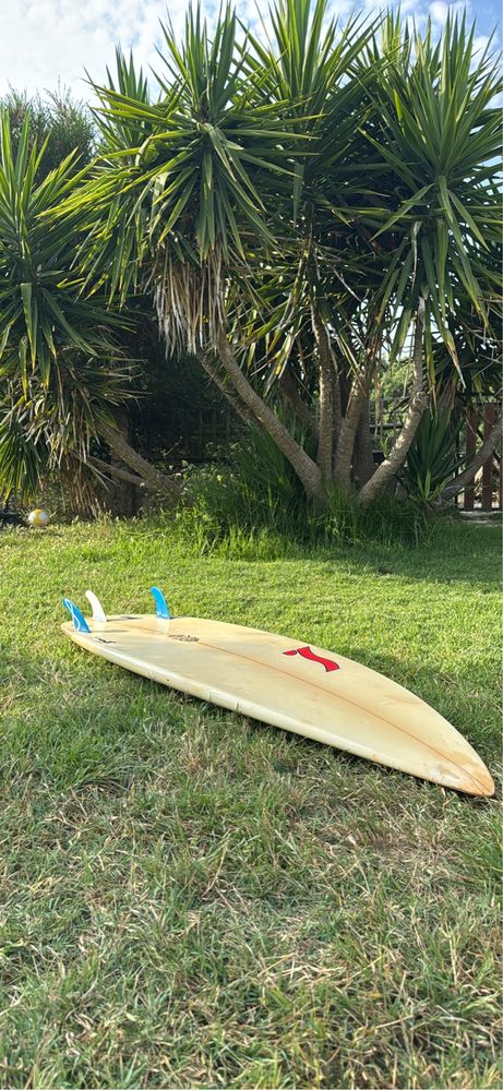 Prancha de surf semente 6.2