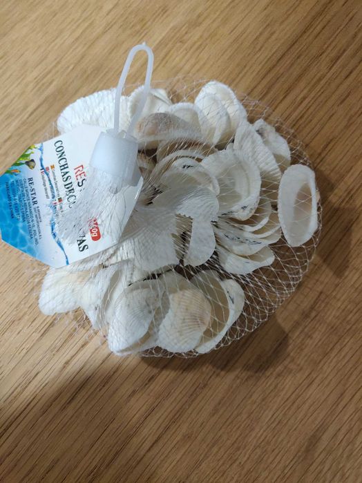 Conchas decorativas para aquário ou outros fins