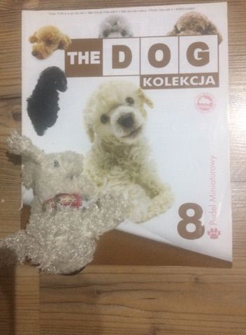 The Dog kolekcja numer 8