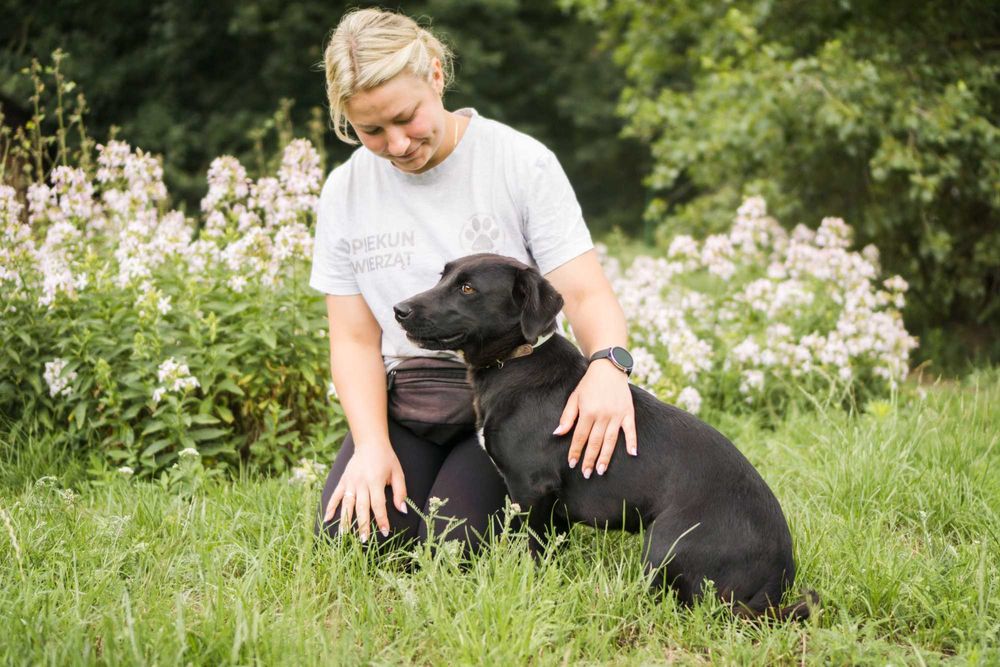 Roczna Ejwa szuka domu!