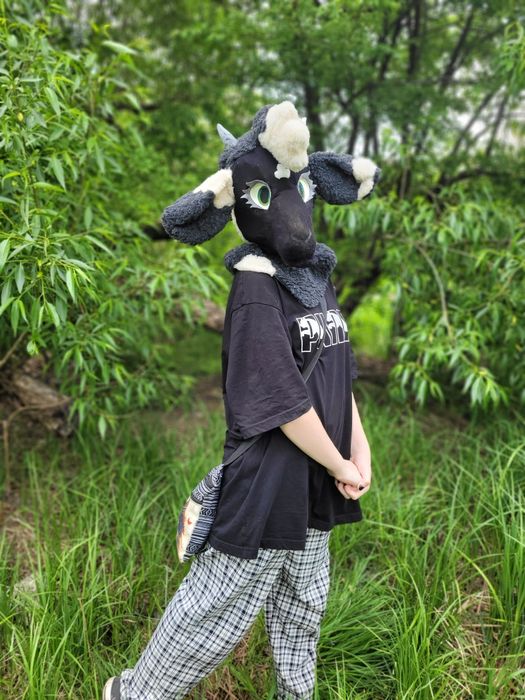 Фурсьют чорна вівця