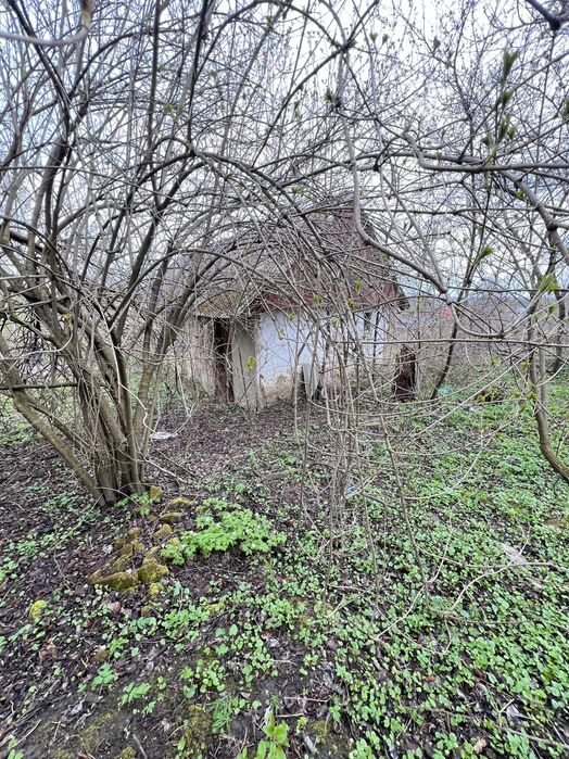 Терміновий продаж ! Ділянка під Будівництво . Вовчухи