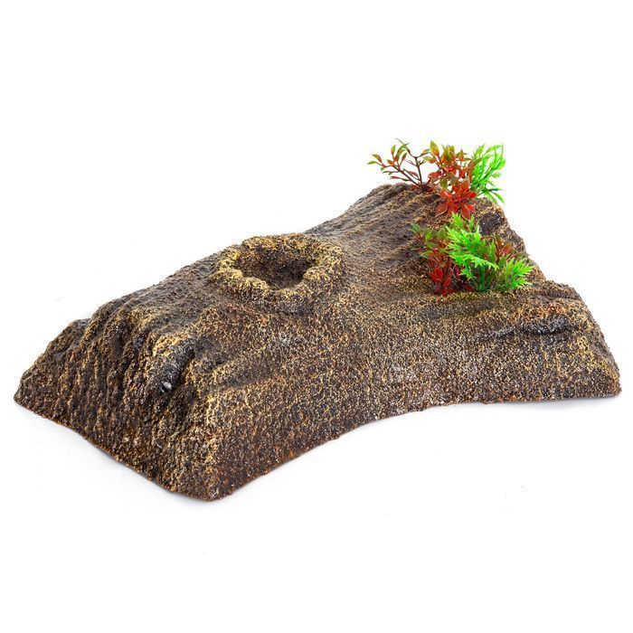 Repti-Zoo Turtle Floating Bark M - Wyspa Pływająca Dla Żółwi