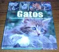 GATOS (Caçadores Elegantes Com Patas de Veludo)