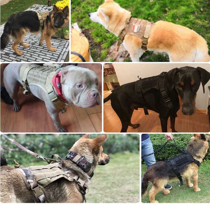 Arnês Peitoral para Cão