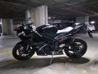 TRIUMPH Daytona 675