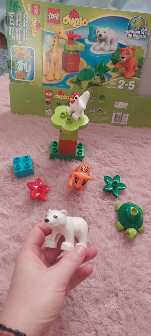 Klocki LEGO 10801 Duplo Zwierzątka tygrys żółw niedźwiedź polarny kura